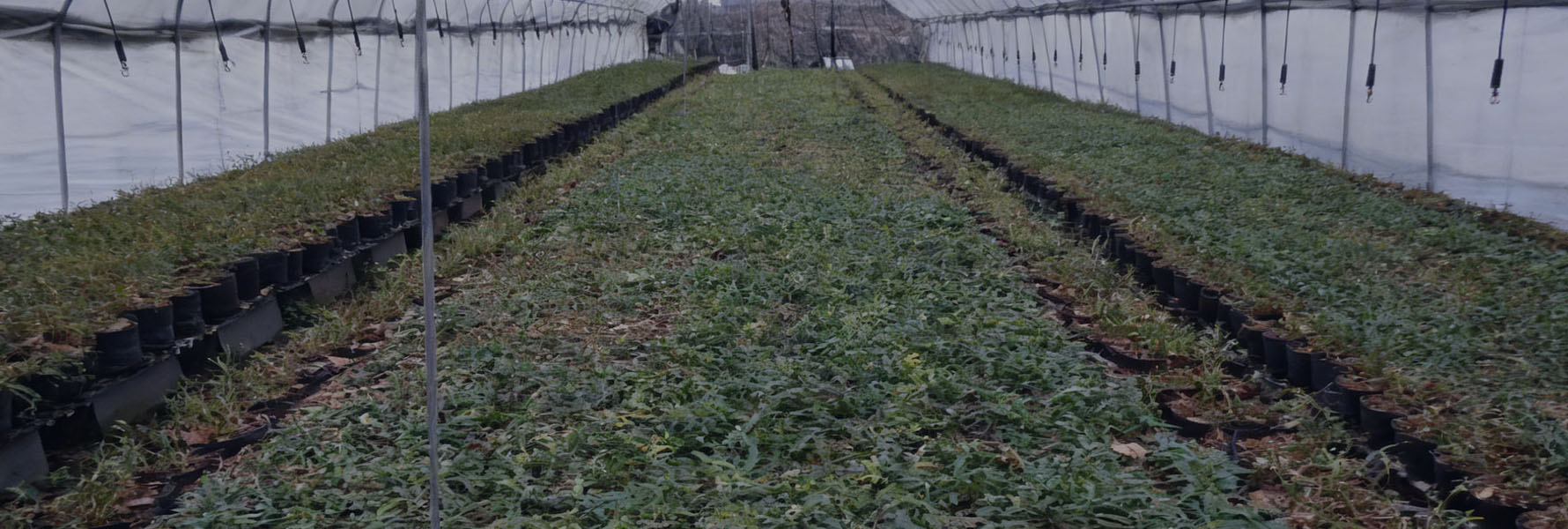 市場(chǎng)認(rèn)可