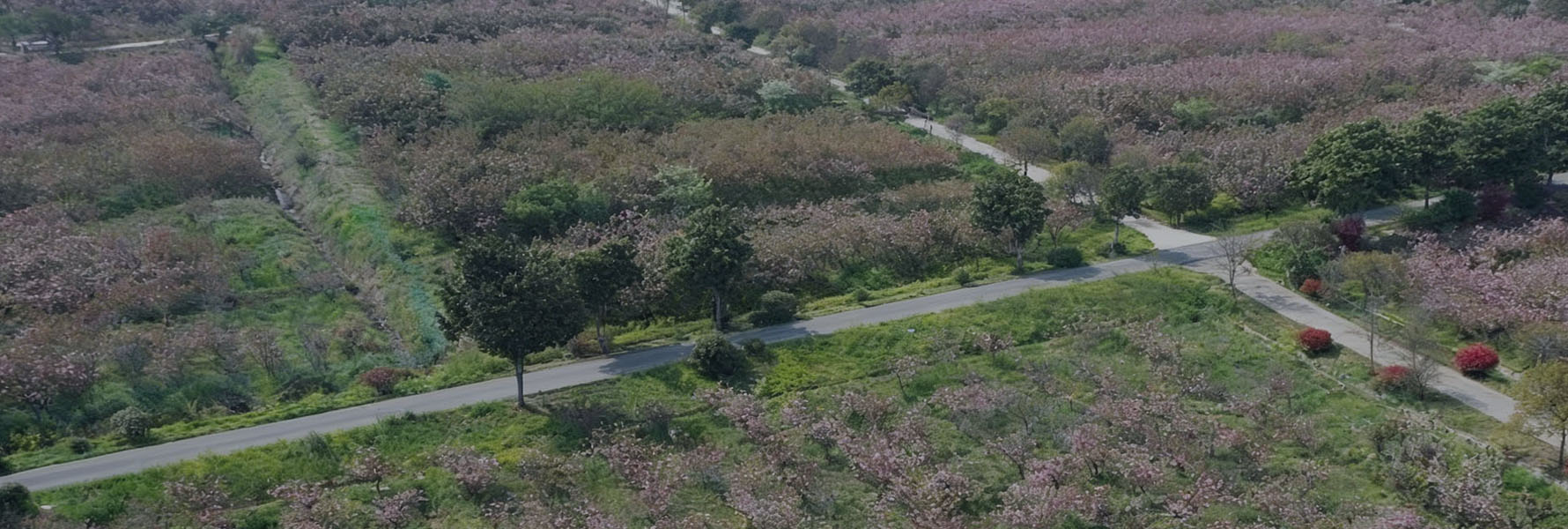 專(zhuān)注專(zhuān)業(yè)